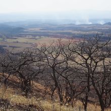 途中で野焼きを見かけました＾＾