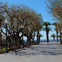 地中海のバルコニーには街路樹が植えてある部分もあり。