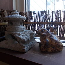 カエルさん発見！