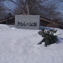 足元が何度も雪に埋まりながら漸く到達しました