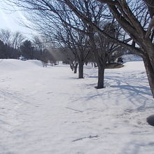 全く除雪されていない公園内の歩道らしき場所の様子