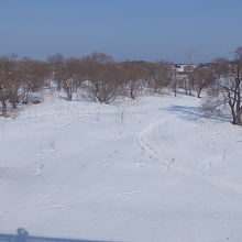 河畔の敷地を利用して整備されている公園のようでした