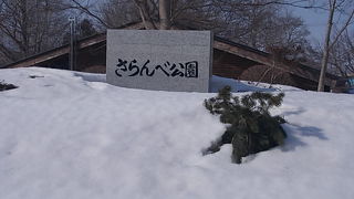 積雪期は全く除雪されていませんでした