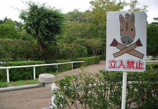 JRA 競走馬総合研究所 (常磐支所) クチコミ・アクセス・営業時間 JRA 競走馬総合研究所 (常磐支所) クチコミ・アクセス・営業時間