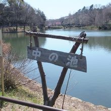 中の池