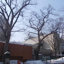 すぐ傍には新渡戸稲造夫人から寄贈された3本の楡の木もあります