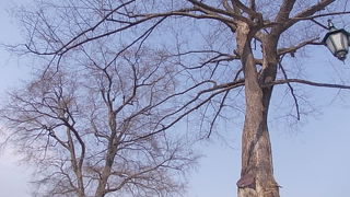 観光地として見るのには無理があるかも・・・