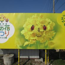 伊良湖菜の花ガーデン