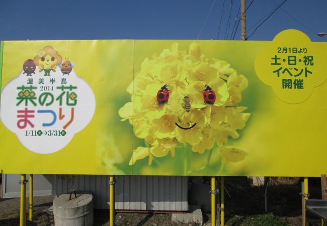 伊良湖菜の花ガーデン