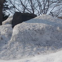 3月下旬でもこの状態でした