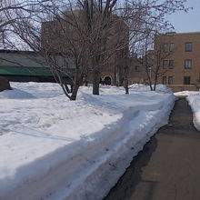 脇の道は雪がないのですが、碑の入口には足跡は皆無でした