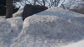 冬季は雪に埋もれてしまっています