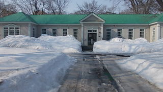 残雪とのコントラストが美しかったです