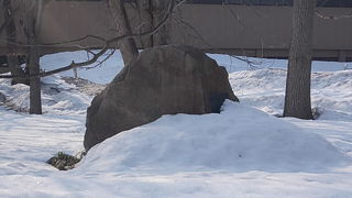 農学部の裏にひっそりと佇んでいました