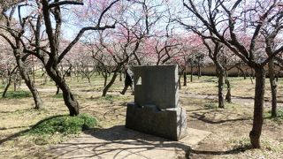 梅見で酒盛りした場所に山口瞳の文学碑