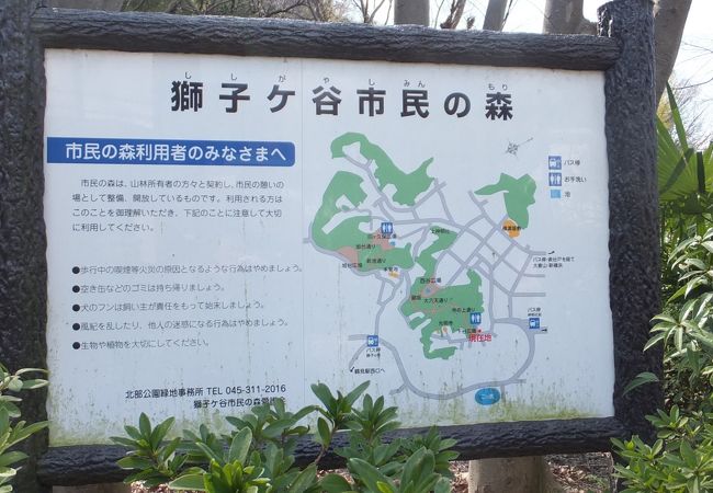 獅子ケ谷市民の森 クチコミ アクセス 営業時間 鶴見 フォートラベル