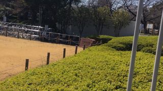 特に何もありませんが。。。