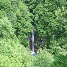 観瀑台から見た駒止の滝です