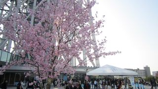 平日は比較的すいている☆