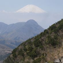 頂上から富士山が見えます