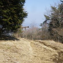 大雄山最乗寺から登る道です