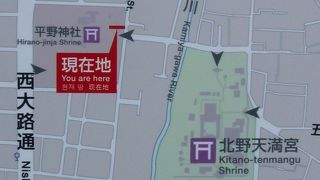 もうすぐ自慢の桜満開です！