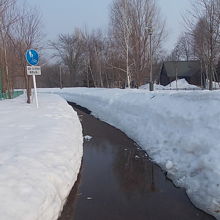 綺麗に雪が解けている場所もあるんですけどね・・・