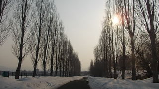 凄く大きくなっていていてびっくりしました