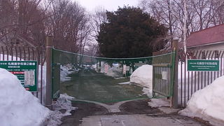 大掛かりな工事が進行中でした