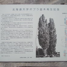 再生記念の解説板も設置されていました