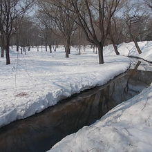 積雪期の中央ローン内のサクシュコトニ川の様子