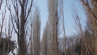 名目上は立入禁止となっています