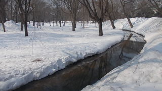 北大構内を流れています