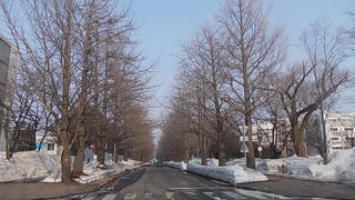 冬季は通行不能の場所も多いので散策に苦労する可能性があります