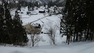 撮影スポット・・・いい眺め