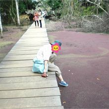 奥に進むと、黄緑と紫の不思議な色に…