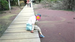 一風変わった雰囲気が味わえます