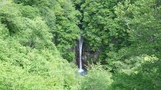 お薦めは観瀑台から見る「駒止の滝」