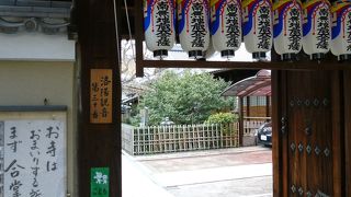 境内には、きれいな椿が咲いていました！