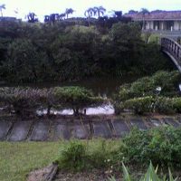 客室から見た中庭