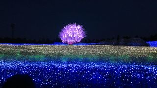 関西最大級のイルミネーション