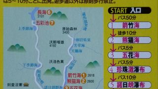 天気が良くないのにこんなに綺麗に見えるとは！