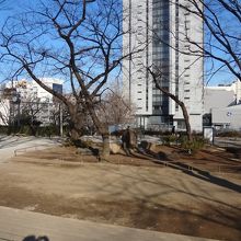 珍しく公園内に喫煙所