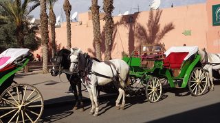 バヒア宮殿の近くに乗り場が