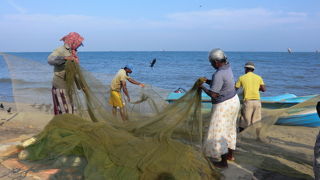 賑わいの魚市場！