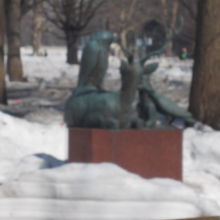 冬だとこんな状態ですが・・・