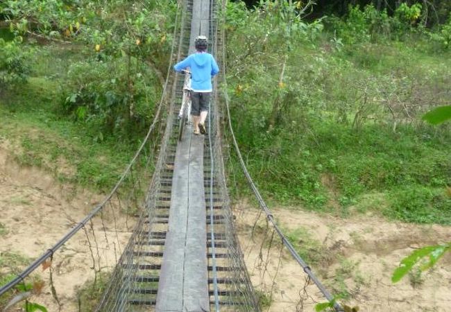 バイク ボルネオ ツアー