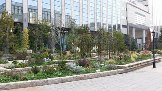 イギリス風のお庭で季節を感じられます