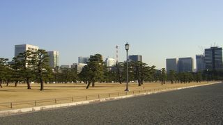 かつては東京見学の定番