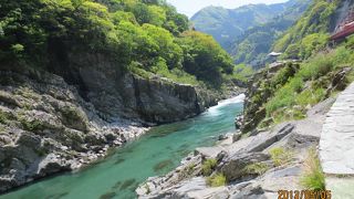 自然がいっぱい